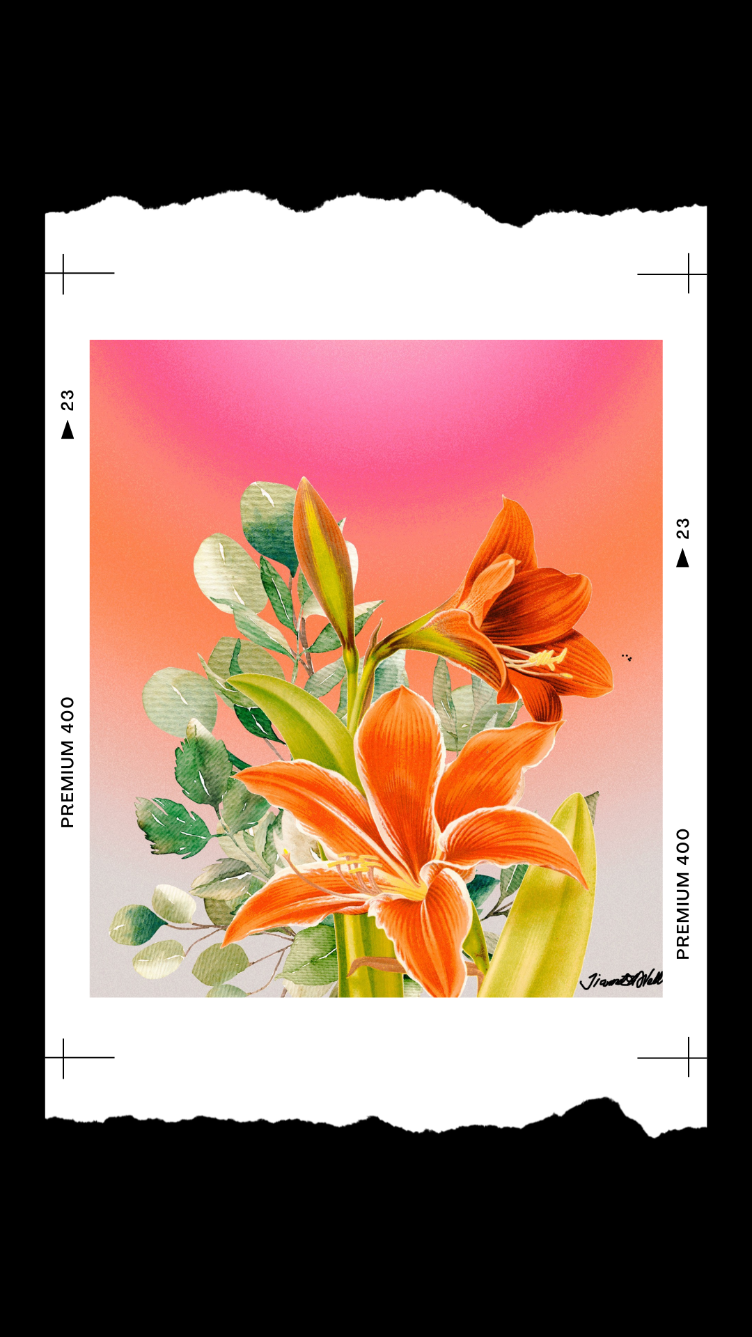 DAY LILY