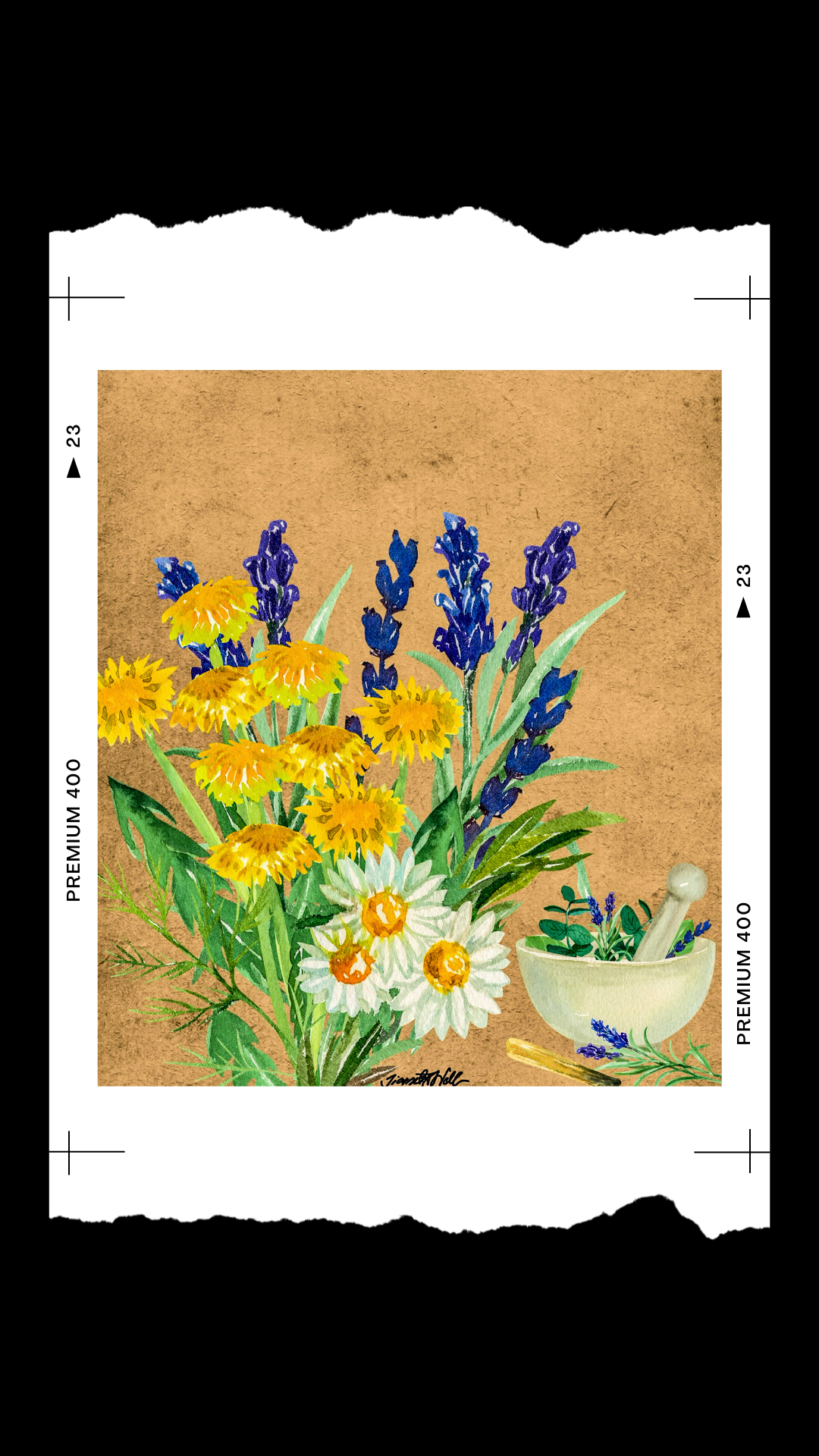 SUNFLOWER AND DAISY