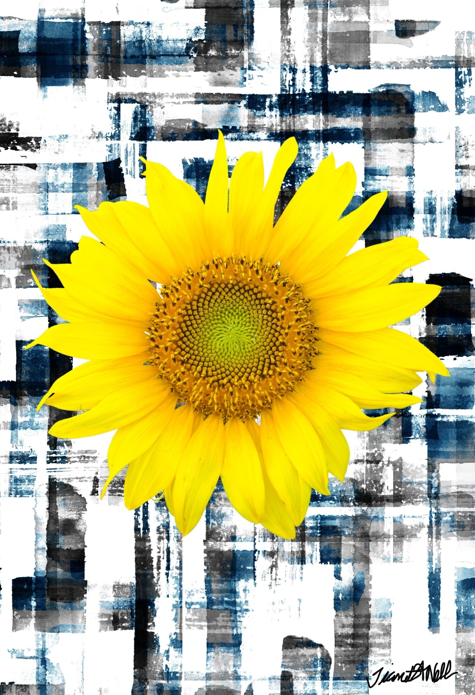 HOW THE SUN SHINES