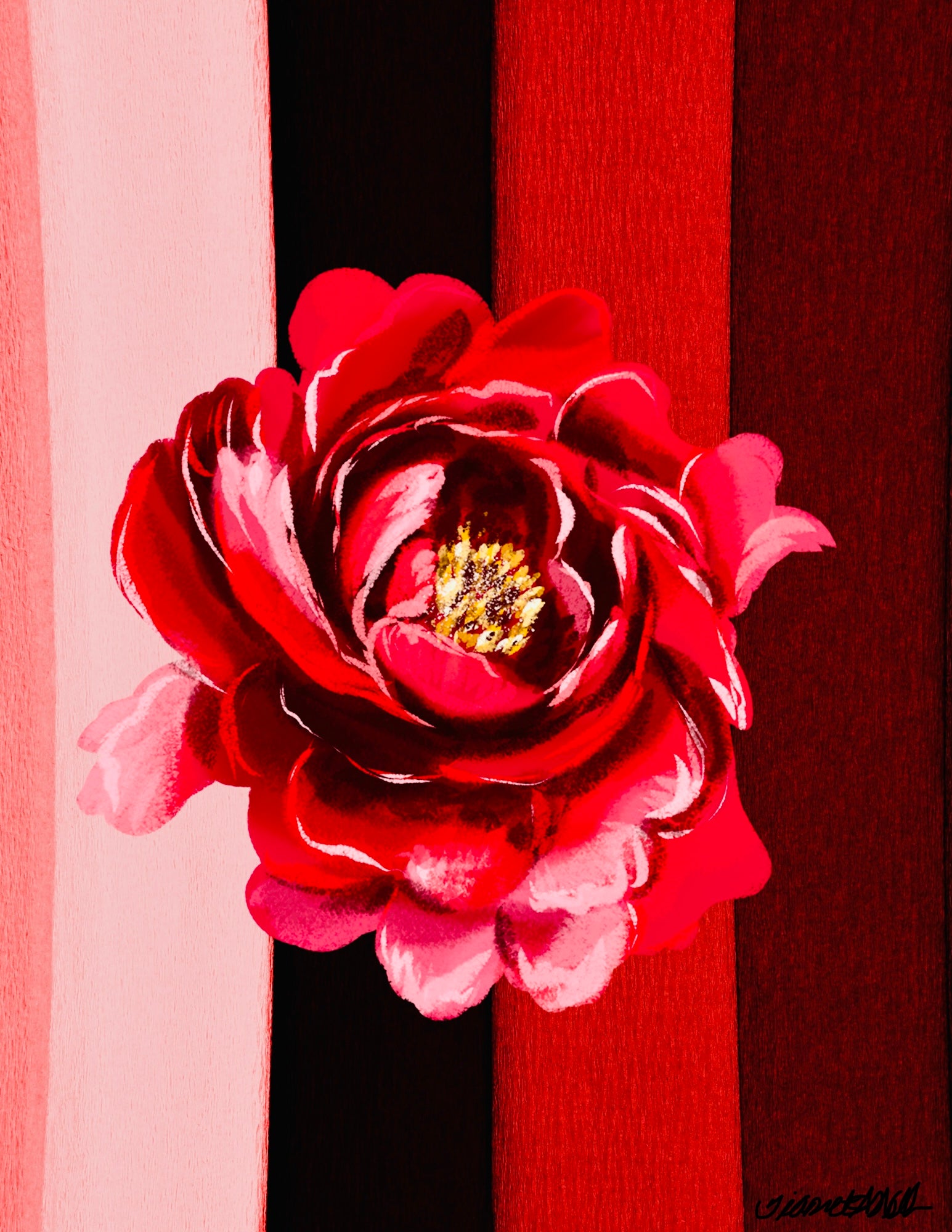 VELVET ROSE: A SYMPHONY IN RED