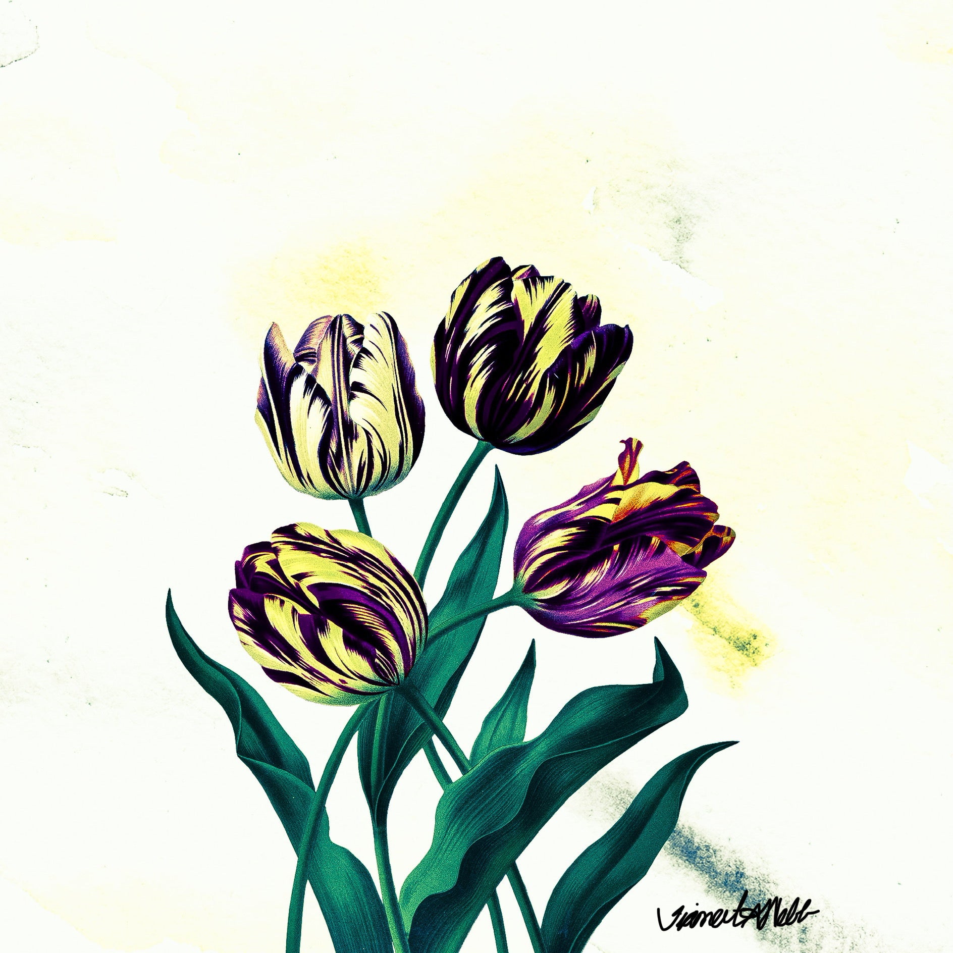 ELEGANT STRIPED TULIP ART PRINT
