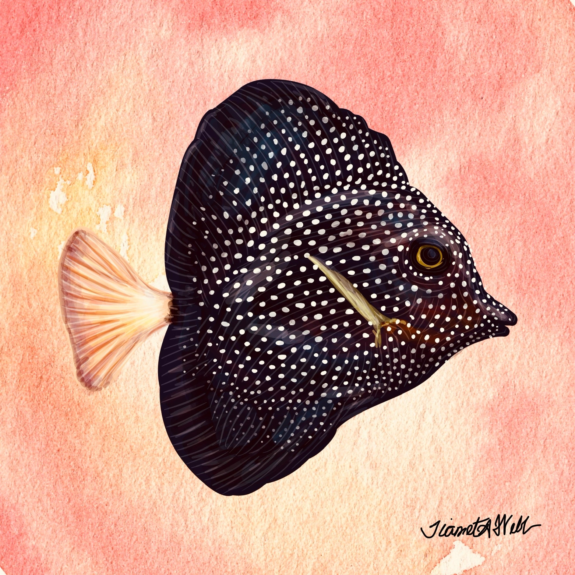 Spotted Fish