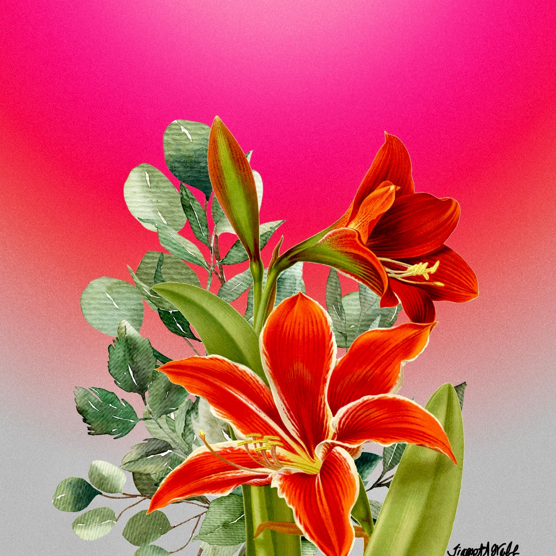 DAY LILY