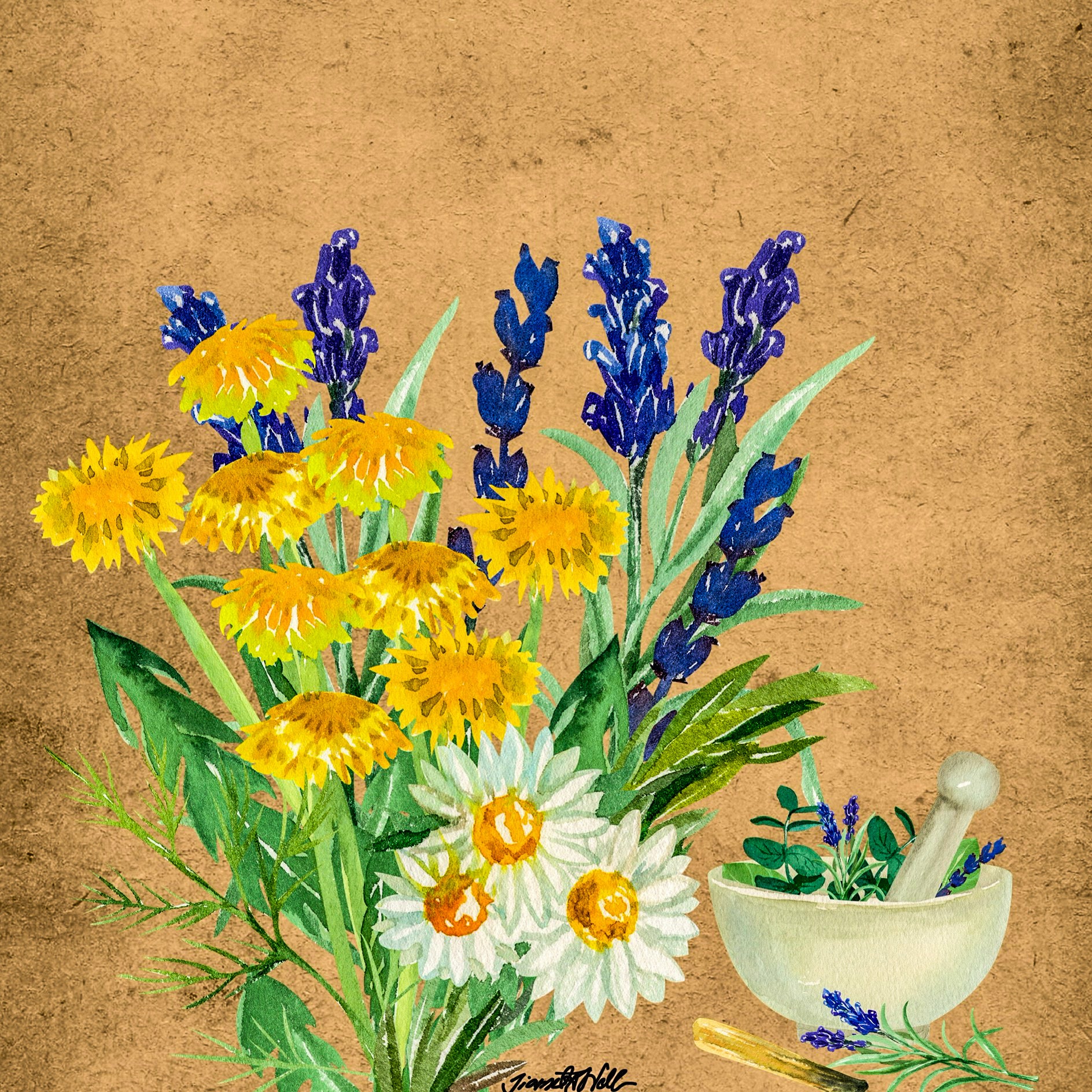 SUNFLOWER AND DAISY